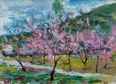 Flowering peaches